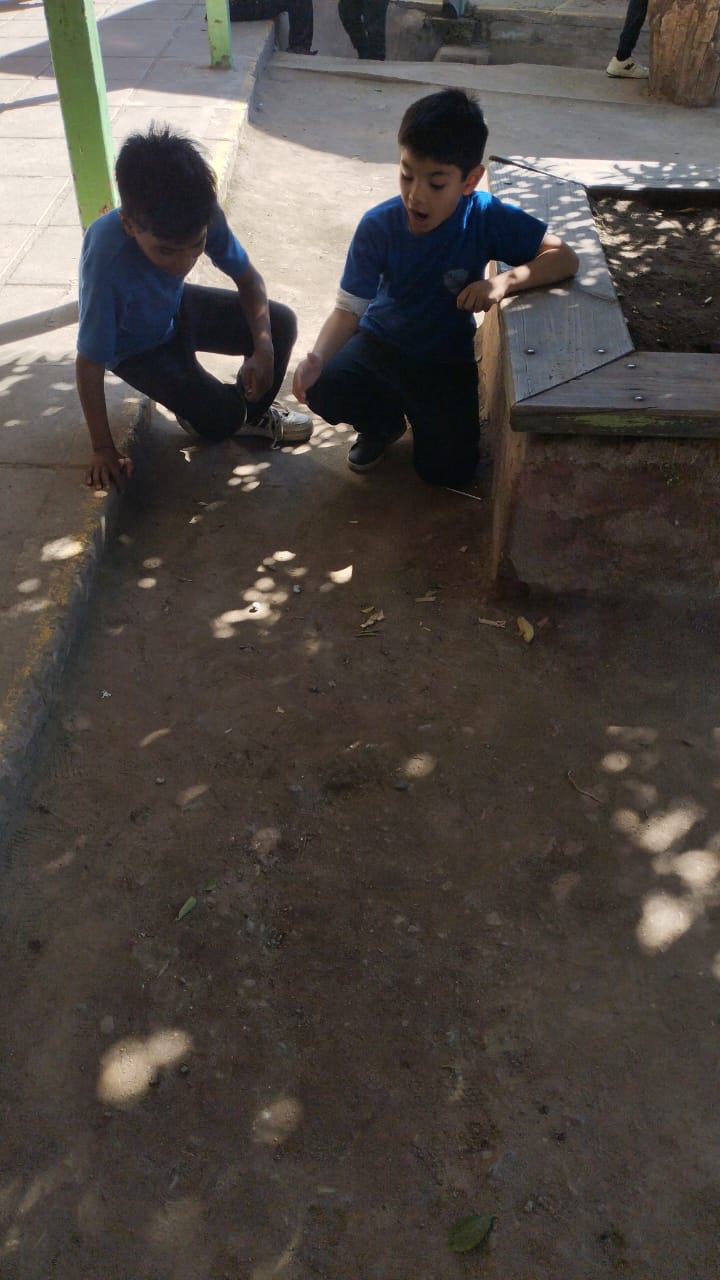 Imagen de WhatsApp 2025 09 10 a las 15.07.57 d300a012