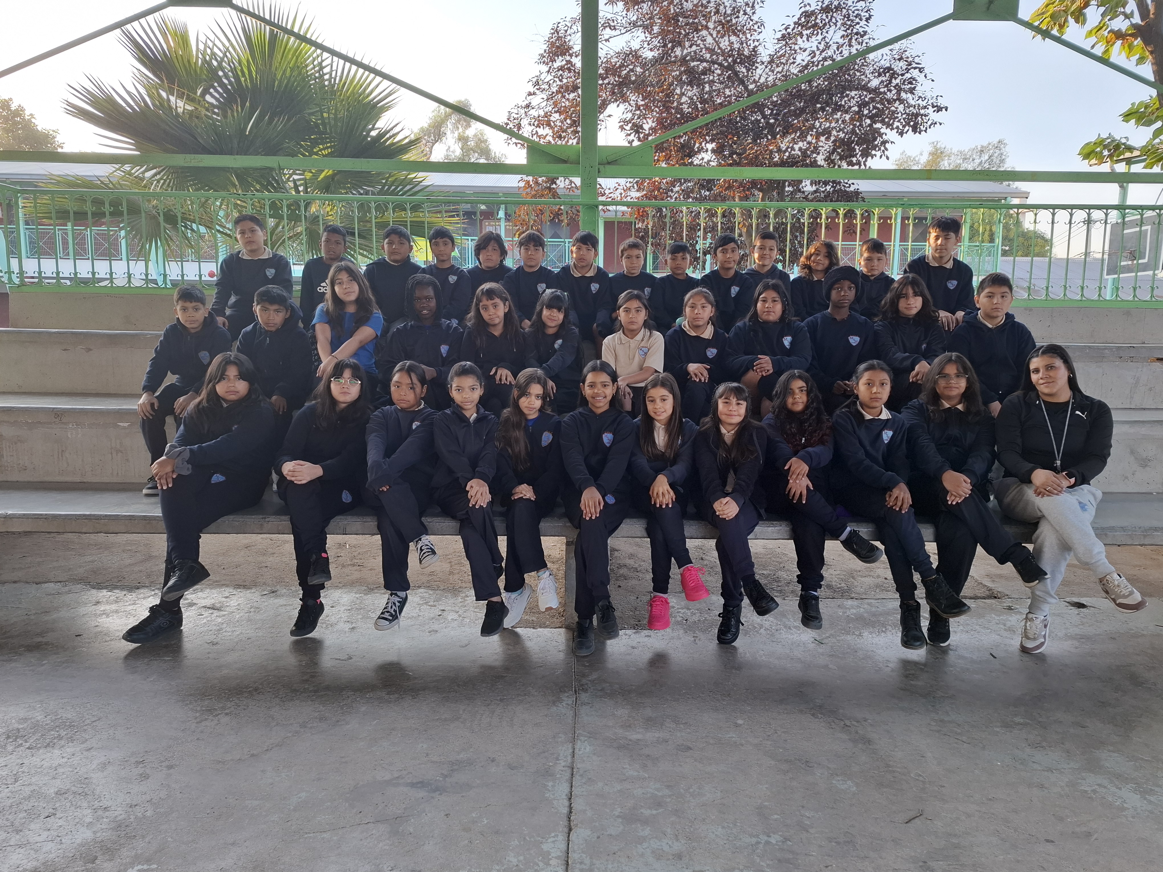 Quinto B