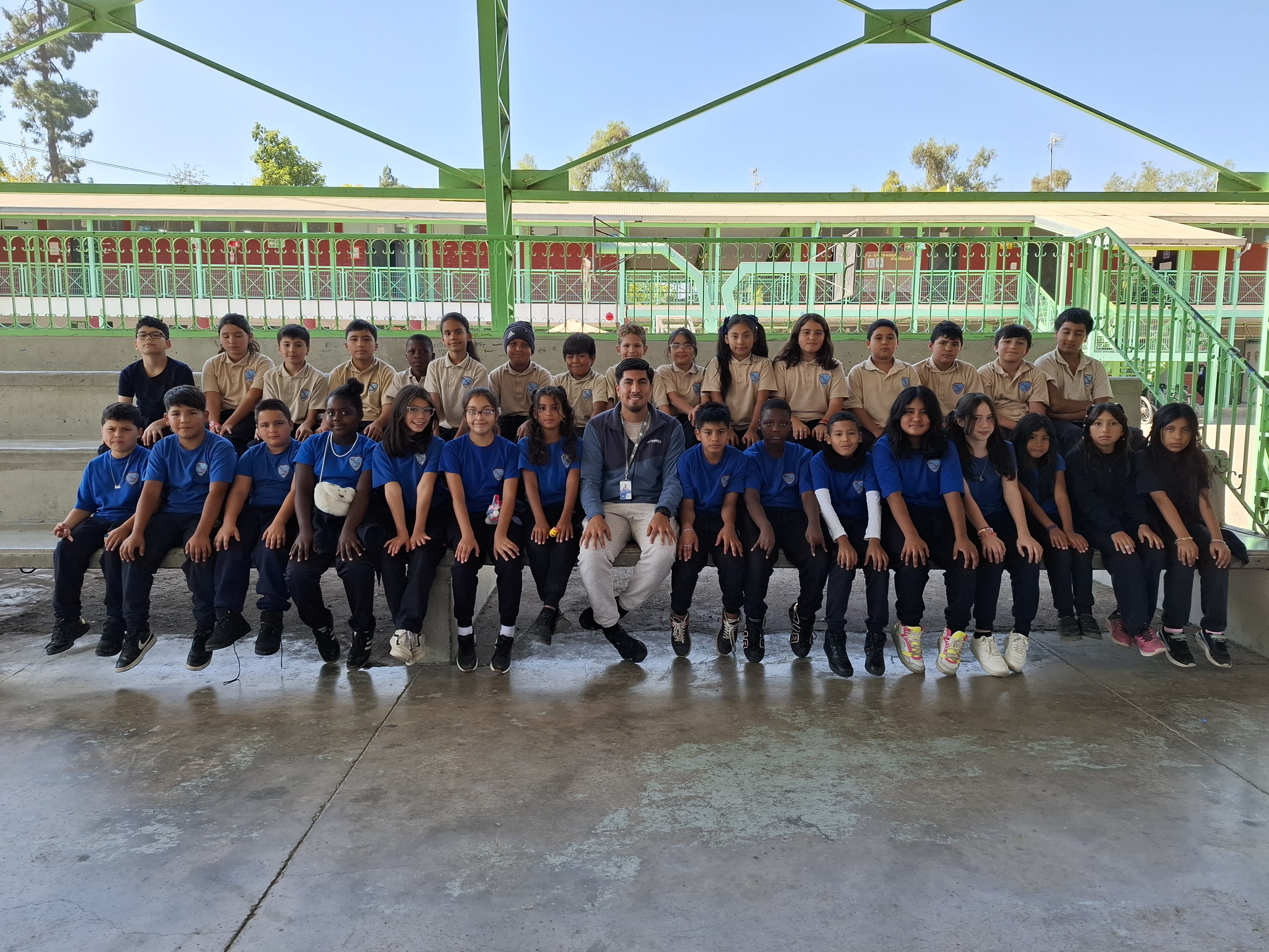 Quinto C